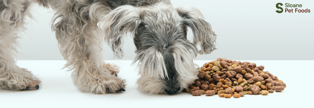 How Much Dog Food Per Day? Portion Guide by Type & Weight