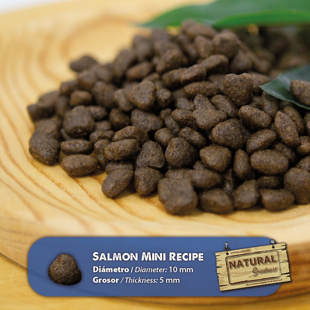 Salmon Recipe Hypoallergenic Small Breed Dry Dog Food Natural Greatness - 2kg