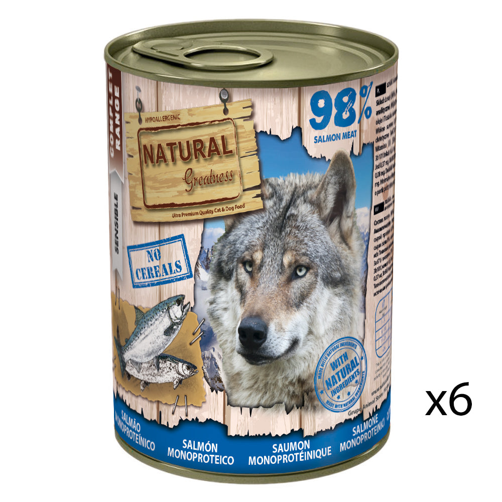 Salmon Recipe Monoprotein Hypoallergenic Wet Dog Food - 6x 400g - product image